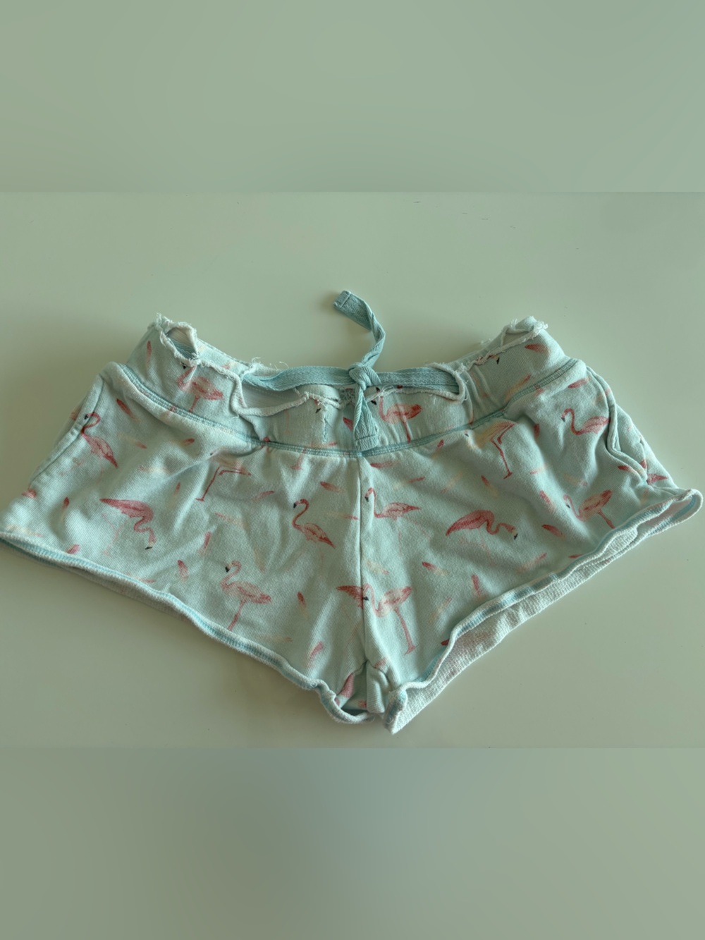 Savage Barbell Light Blue Flamingo Print Athletic Shorts